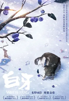 华人91视频