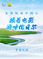糖豆广场舞全部视频