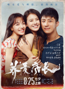 江东三姐妹二代是啥意思