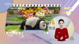 青青操视频在线免费观看